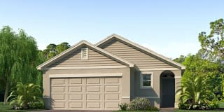 34097 JASPER STONE DRIVE 34097 JASPER STONE DRIVE Photo Gallery 1