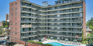 825 Dahlia 825 Dahlia Photo Gallery 1