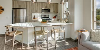 Persea Persea Photo Gallery 1