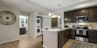 Lago Lago Photo Gallery 1