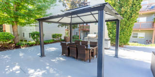 Pine Ridge Apartment Homes Pine Ridge Apartment Homes Photo Gallery 1