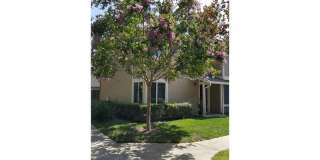 2316 Warfield Way D 2316 Warfield Way D Photo Gallery 1