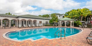 Palm Trace Landings Palm Trace Landings Photo Gallery 1