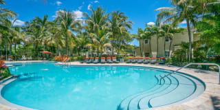Solero at Plantation Solero at Plantation Photo Gallery 1