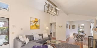 3861 Live, Love, Bark 3861 Live, Love, Bark Photo Gallery 1