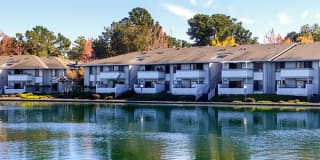 Beach Cove Beach Cove Photo Gallery 1