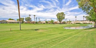 42207 Omar Place 42207 Omar Place Photo Gallery 1