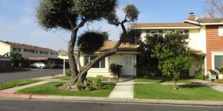 19891 Piccadilly Ln. 19891 Piccadilly Ln. Photo Gallery 1