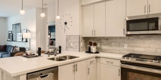 Vive Luxe Vive Luxe Photo Gallery 1