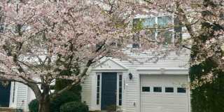 10029 Gander Ct. 10029 Gander Ct. Photo Gallery 1
