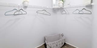 Carrara at Cypress Creek Carrara at Cypress Creek Photo Gallery 1