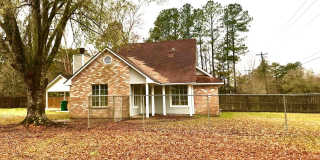 32881 Cane Market 32881 Cane Market Photo Gallery 1