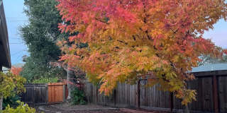 648 Tanbark Terr. 648 Tanbark Terr. Photo Gallery 1