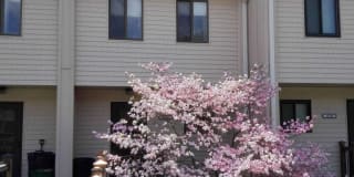 15245 COACHMAN TERRACE 15245 COACHMAN TERRACE Photo Gallery 1