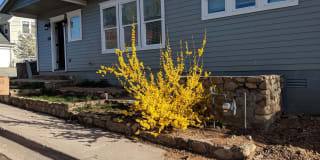 649 Western Avenue'VACATION RENTAL' 649 Western Avenue'VACATION RENTAL' Photo Gallery 1