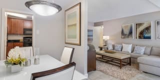 Lerner Excelsior Tower Lerner Excelsior Tower Photo Gallery 1