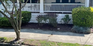 56 Franklin Avenue 56 Franklin Avenue Photo Gallery 1