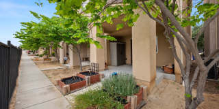 4840 Charles Lewis Wy 4840 Charles Lewis Wy Photo Gallery 1