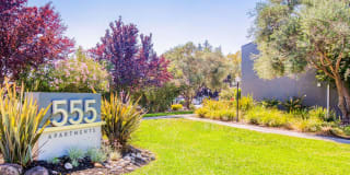 555 Apartments 555 Apartments Photo Gallery 1