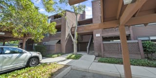 876 Catkin Ct 876 Catkin Ct Photo Gallery 1