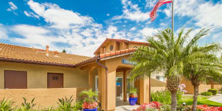 Las Ventanas Las Ventanas Photo Gallery 1