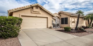 17741 N DESERT FLOWER Trail 17741 N DESERT FLOWER Trail Photo Gallery 1