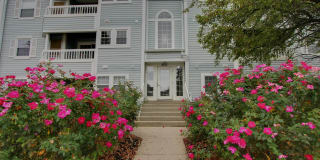 8513 FALLS RUN ROAD 8513 FALLS RUN ROAD Photo Gallery 1