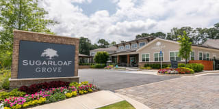 Sugarloaf Grove Sugarloaf Grove Photo Gallery 1