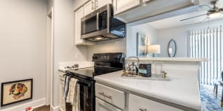 The Grove Apartments The Grove Apartments Photo Gallery 1