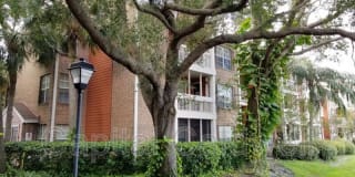 10200 Gandy Blvd #834 10200 Gandy Blvd #834 Photo Gallery 1