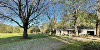 2323 Woods Loop Road 2323 Woods Loop Road Photo Gallery 1