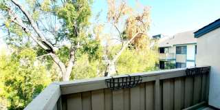 853 Woodside Way., Apt #234 853 Woodside Way., Apt #234 Photo Gallery 1