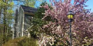 11822 Great Owl Cir 11822 Great Owl Cir Photo Gallery 1