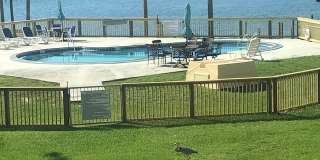 8253 Navarre Pkwy 8253 Navarre Pkwy Photo Gallery 1