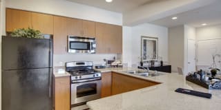 BelaRosa BelaRosa Photo Gallery 1