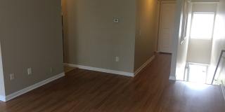33903 Pondview Cir 33903 Pondview Cir Photo Gallery 1