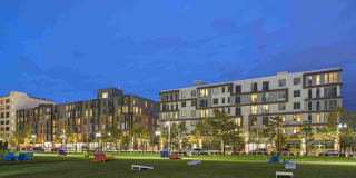 Flats on D Flats on D Photo Gallery 1