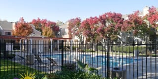 1019 Dornajo Way #159 1019 Dornajo Way #159 Photo Gallery 1