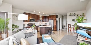 Lime Lime Photo Gallery 1