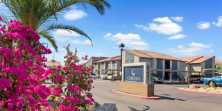 Cordova Apartments Cordova Apartments Photo Gallery 1