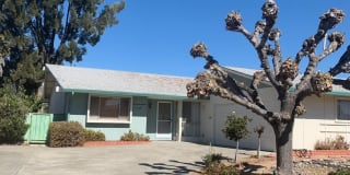 1718 Hollyhock St 1718 Hollyhock St Photo Gallery 1