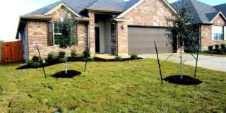 241 Joy HOLW 241 Joy HOLW Photo Gallery 1
