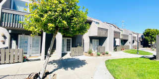 6333 Mt Ada Road Unit 257 6333 Mt Ada Road Unit 257 Photo Gallery 1