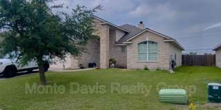 1108 Delia Chapa Lane 1108 Delia Chapa Lane Photo Gallery 1