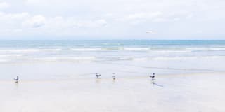 Atlantic Beach House Atlantic Beach House Photo Gallery 1