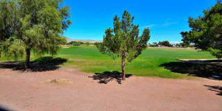 3514 Old Course Street 3514 Old Course Street Photo Gallery 1