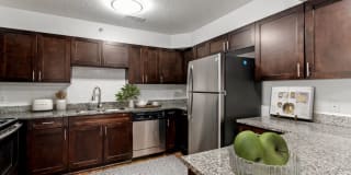 The Apartments at Midtown 501 The Apartments at Midtown 501 Photo Gallery 1