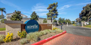 Sorelle Sorelle Photo Gallery 1