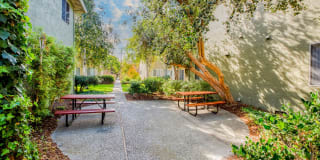 Birchwood Birchwood Photo Gallery 1