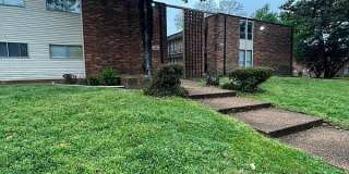 105 N Belvedere Blvd Apt 9 105 N Belvedere Blvd Apt 9 Photo Gallery 1